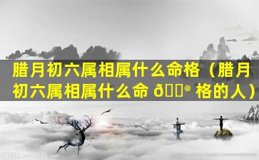 腊月初六属相属什么命格（腊月初六属相属什么命 💮 格的人）